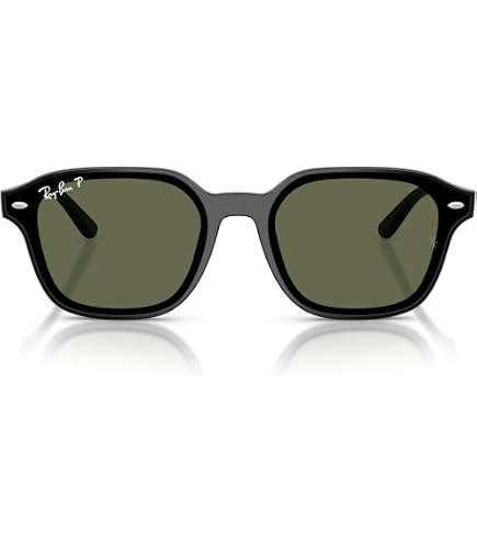 Amazon.com: Ray-Ban RB4423D Sunglasses, Black/Brown, 66 mm